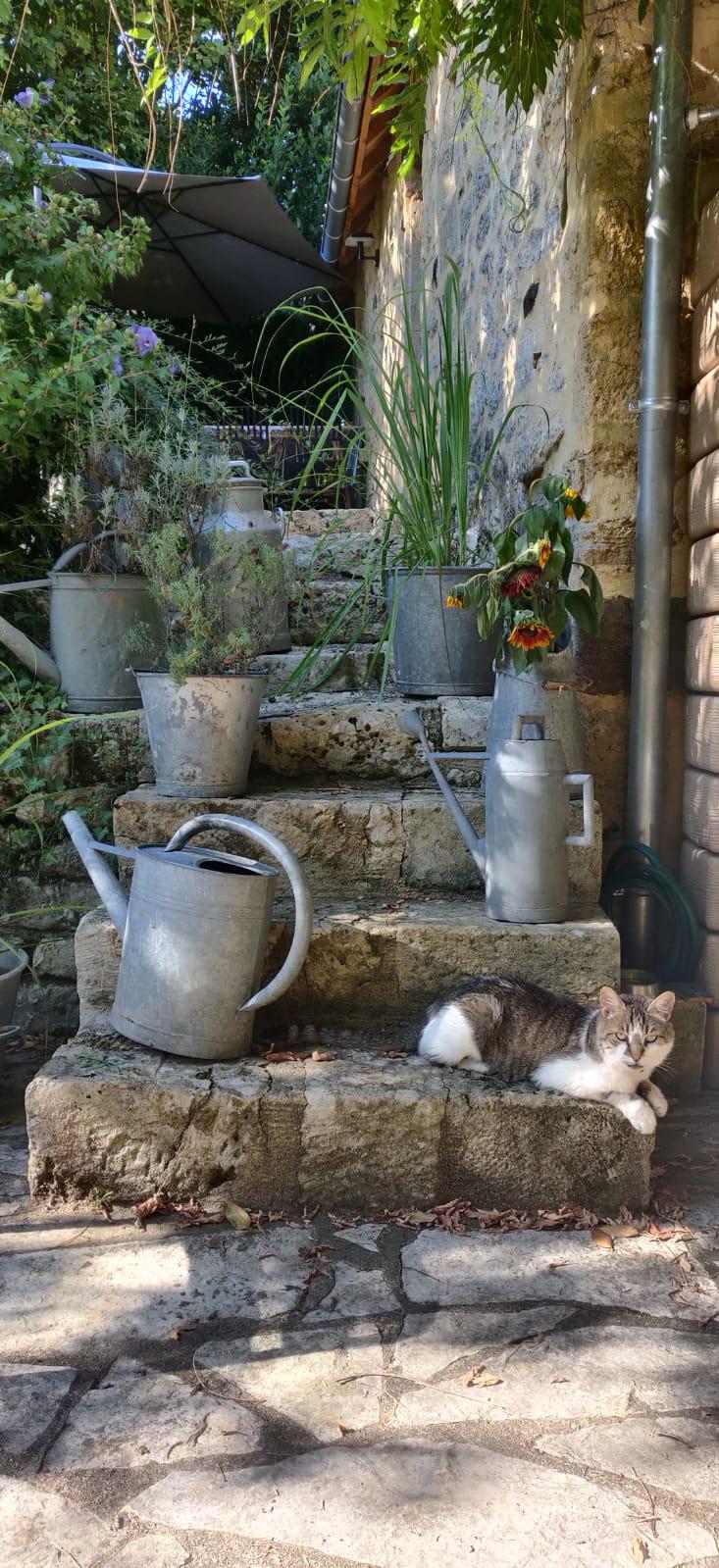 GreenGo Le Gîte de l'Arrosoir