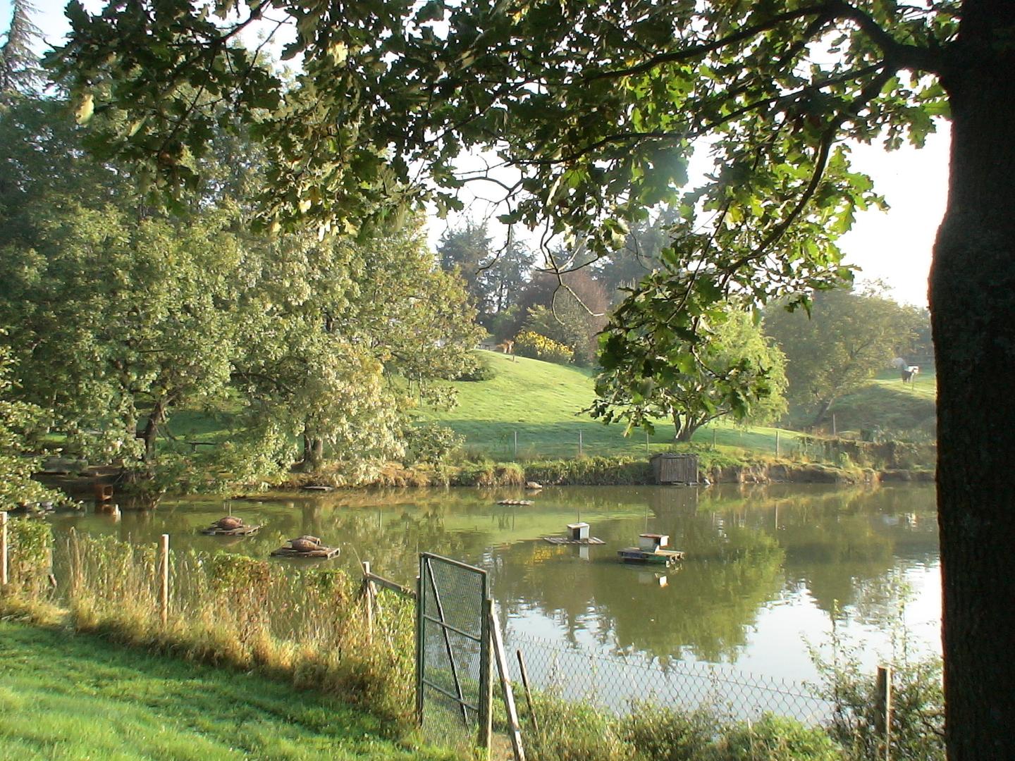 GreenGo location vacances écoresponsables