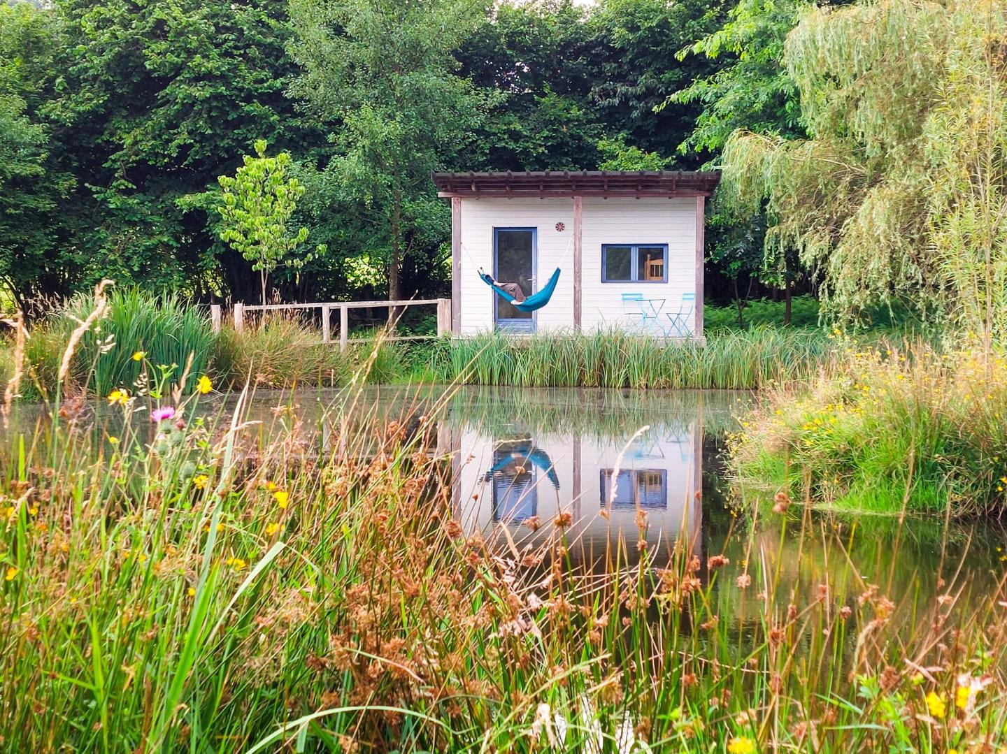 GreenGo Le Chavictor