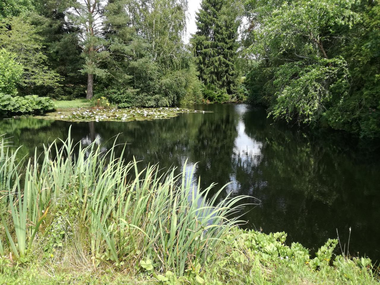 Hôte GreenGo: Gîte la Lande Firbeix Dordogne - Image 20