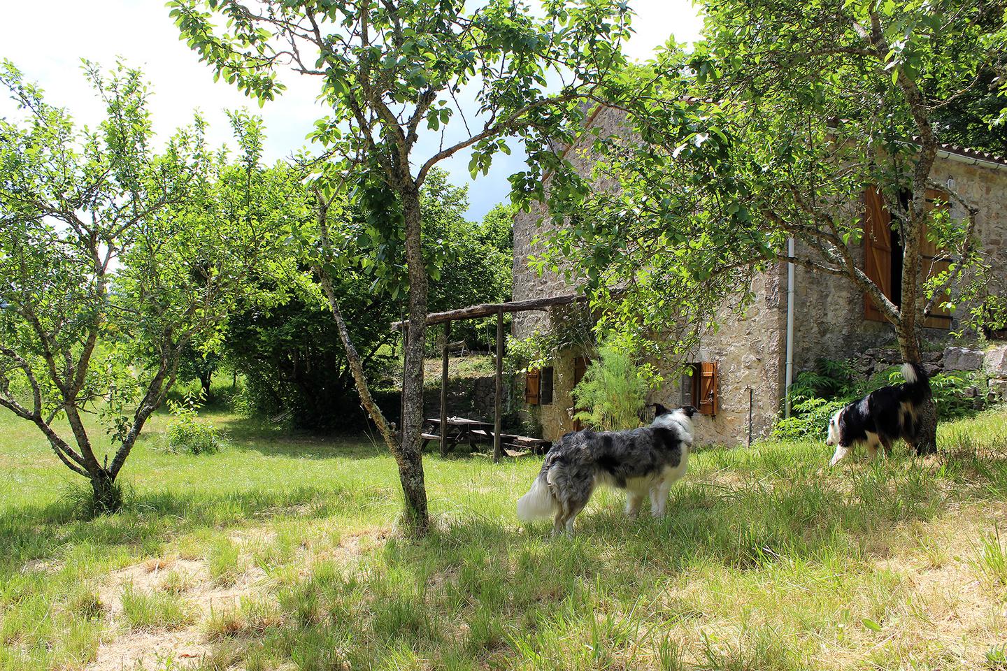 Hôte GreenGo: Maison de Vignes de Tournemire - Image 2