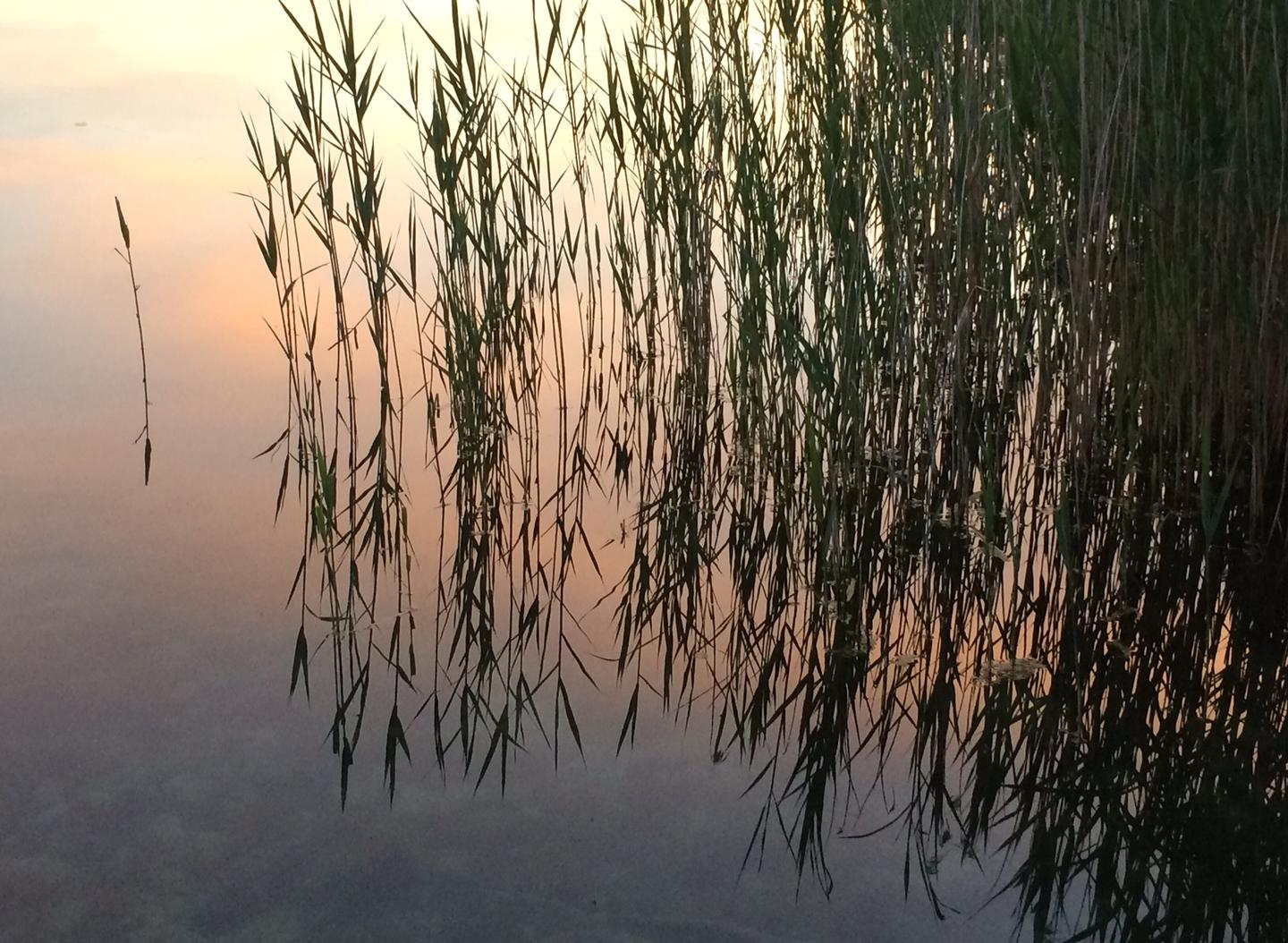Hôte GreenGo: La Roselière, maison les pieds dans l'eau et immersion dans la nature au lac de Paladru - Image 20