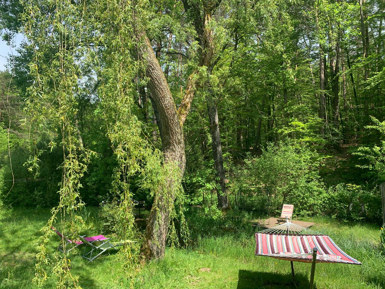Hôte GreenGo: Au fond des bois . Se ressourcer en pleine forêt dans les Vosges Du Nord .