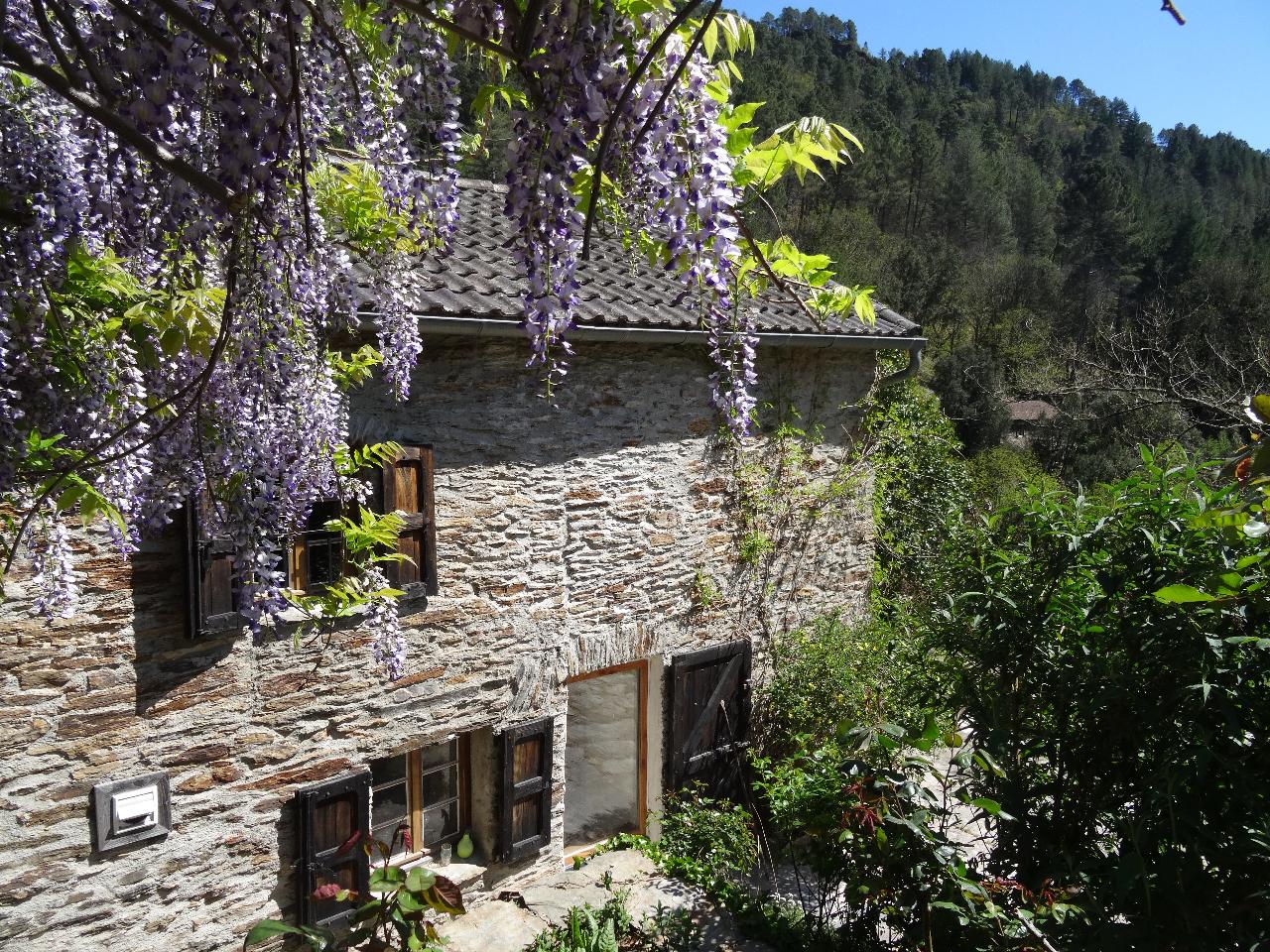 Hôte GreenGo: Lou Grana