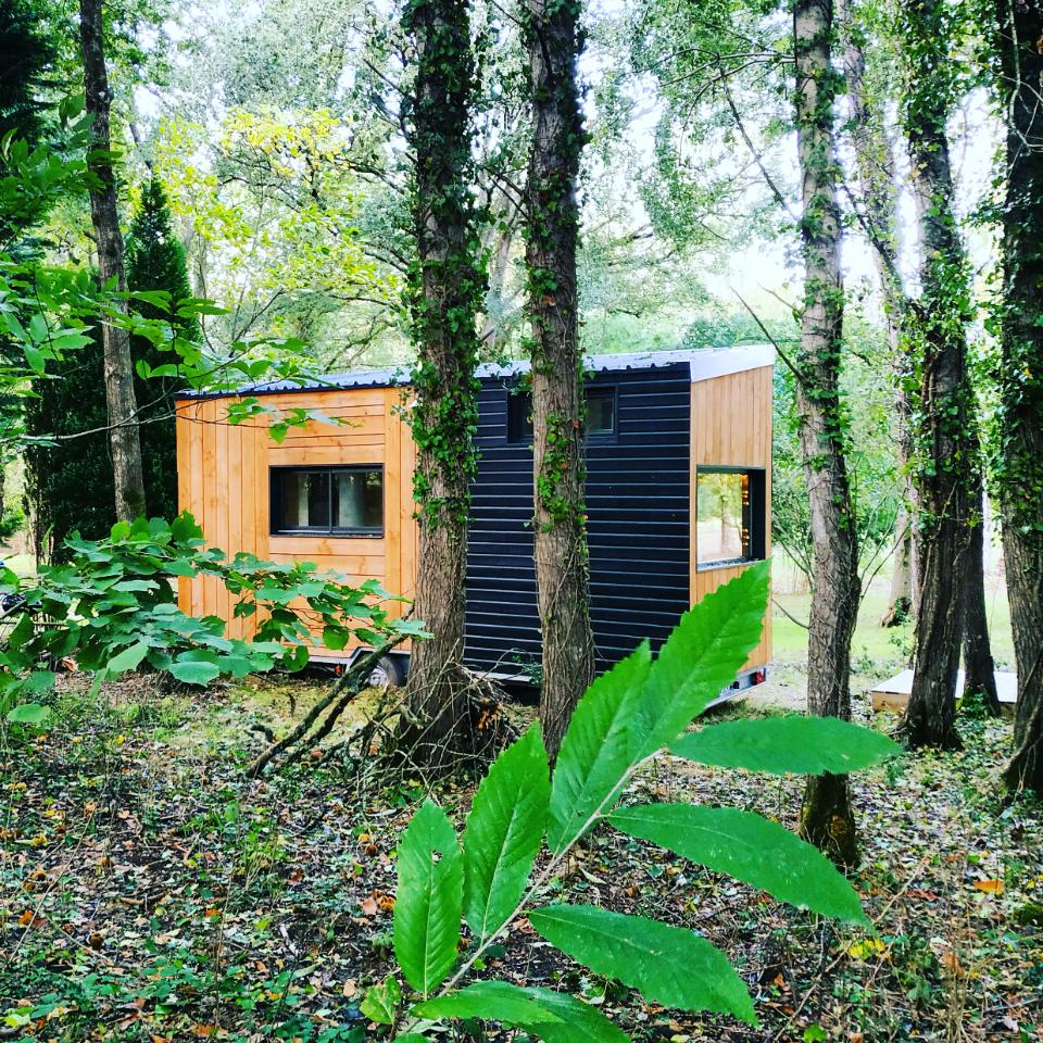 Logement GreenGo: Tiny House et son bain nordique dans les bois