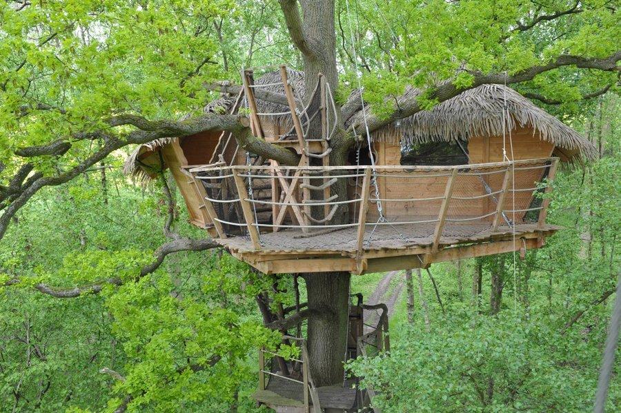 Hôte GreenGo: Les cabanes dans les arbres de Fontaine-Châtel - Image 16