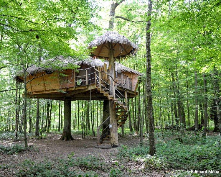 Hôte GreenGo: Les cabanes dans les arbres de Fontaine-Châtel - Image 15