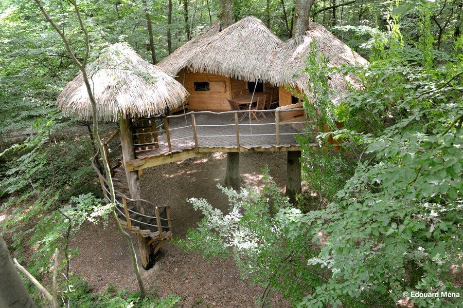 Hôte GreenGo: Les cabanes dans les arbres de Fontaine-Châtel - Image 23