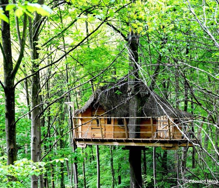 Hôte GreenGo: Les cabanes dans les arbres de Fontaine-Châtel - Image 12