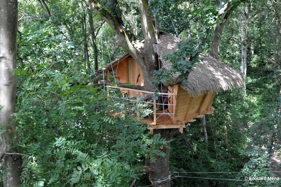 Hôte GreenGo: Les cabanes dans les arbres de Fontaine-Châtel - Image 21