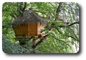 Hôte GreenGo: Les cabanes dans les arbres de Fontaine-Châtel - Image 10