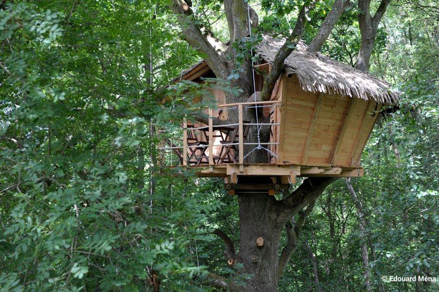 Hôte GreenGo: Les cabanes dans les arbres de Fontaine-Châtel - Image 13