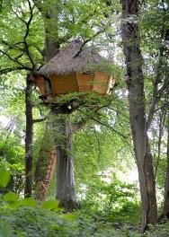 Hôte GreenGo: Les cabanes dans les arbres de Fontaine-Châtel - Image 18