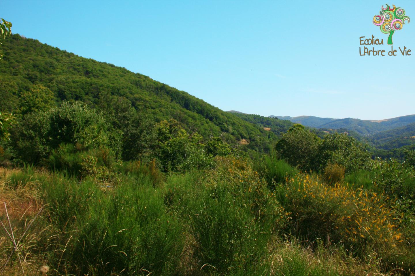 Logement GreenGo: Chalet avec instant Spa en pleine Nature des Monts du Sud Ardèche - Image 13