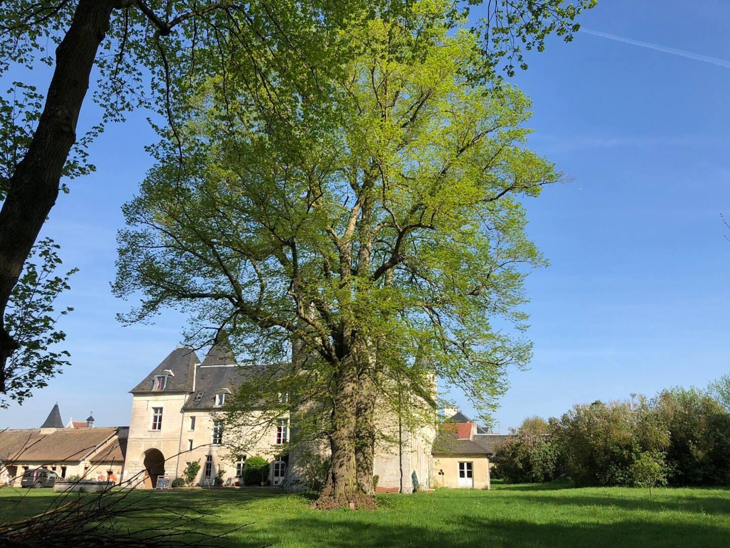 Logement GreenGo: Gite au château de Coyolles - Image 15
