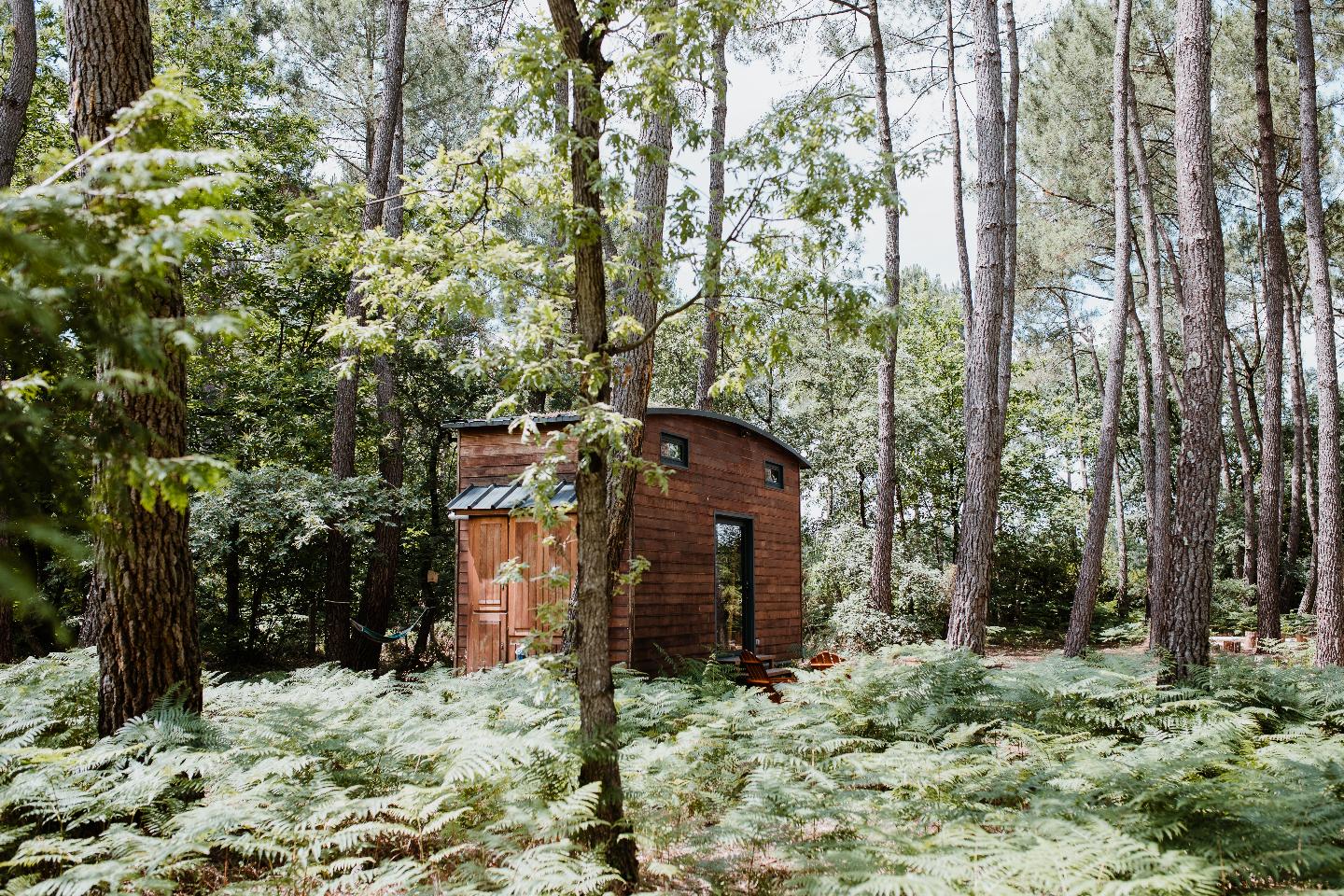 Logement GreenGo: Tiny house - La Kumquat - Image 24