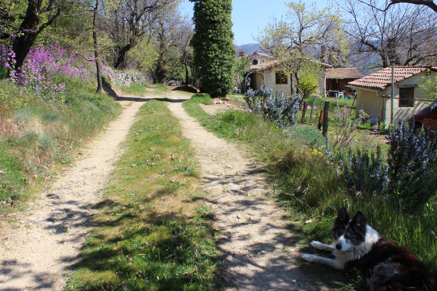Logement GreenGo: Chalet avec instant Spa en pleine Nature des Monts du Sud Ardèche - Image 7