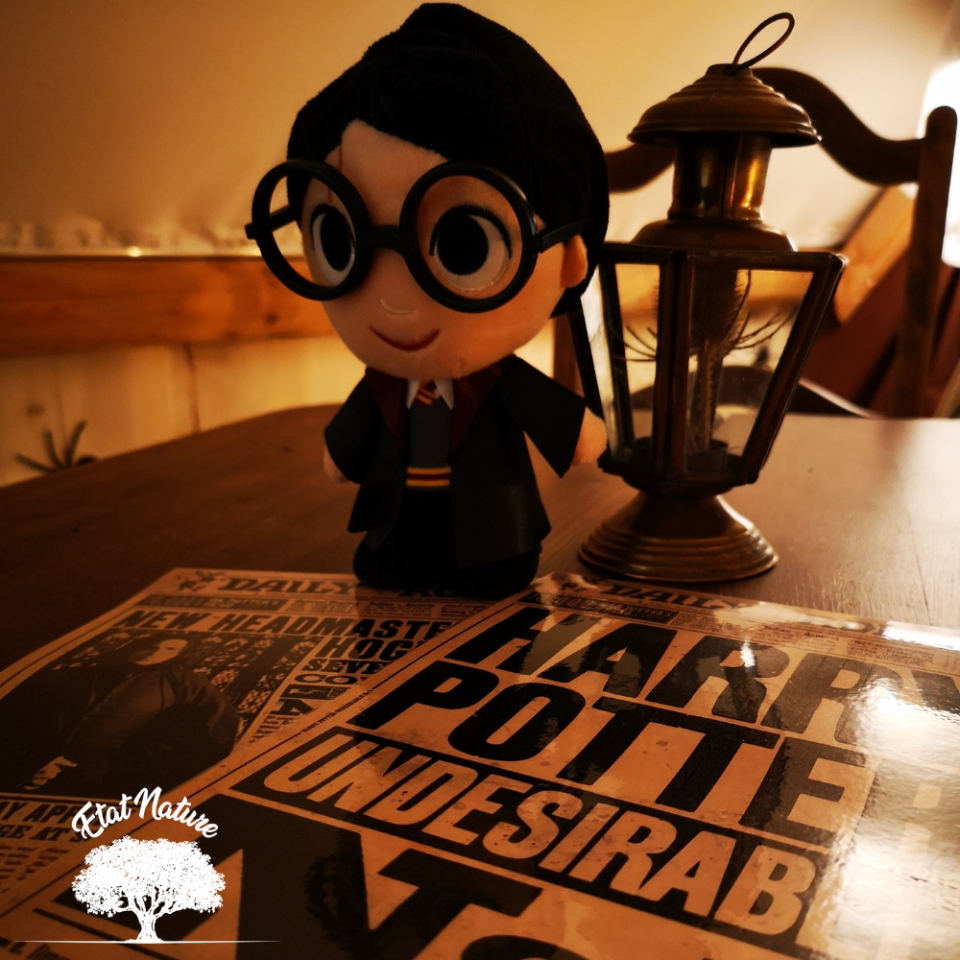 Logement GreenGo: Gîte Harry Potter - Image 10