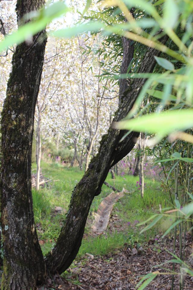 Logement GreenGo: Chalet avec instant Spa en pleine Nature des Monts du Sud Ardèche - Image 8