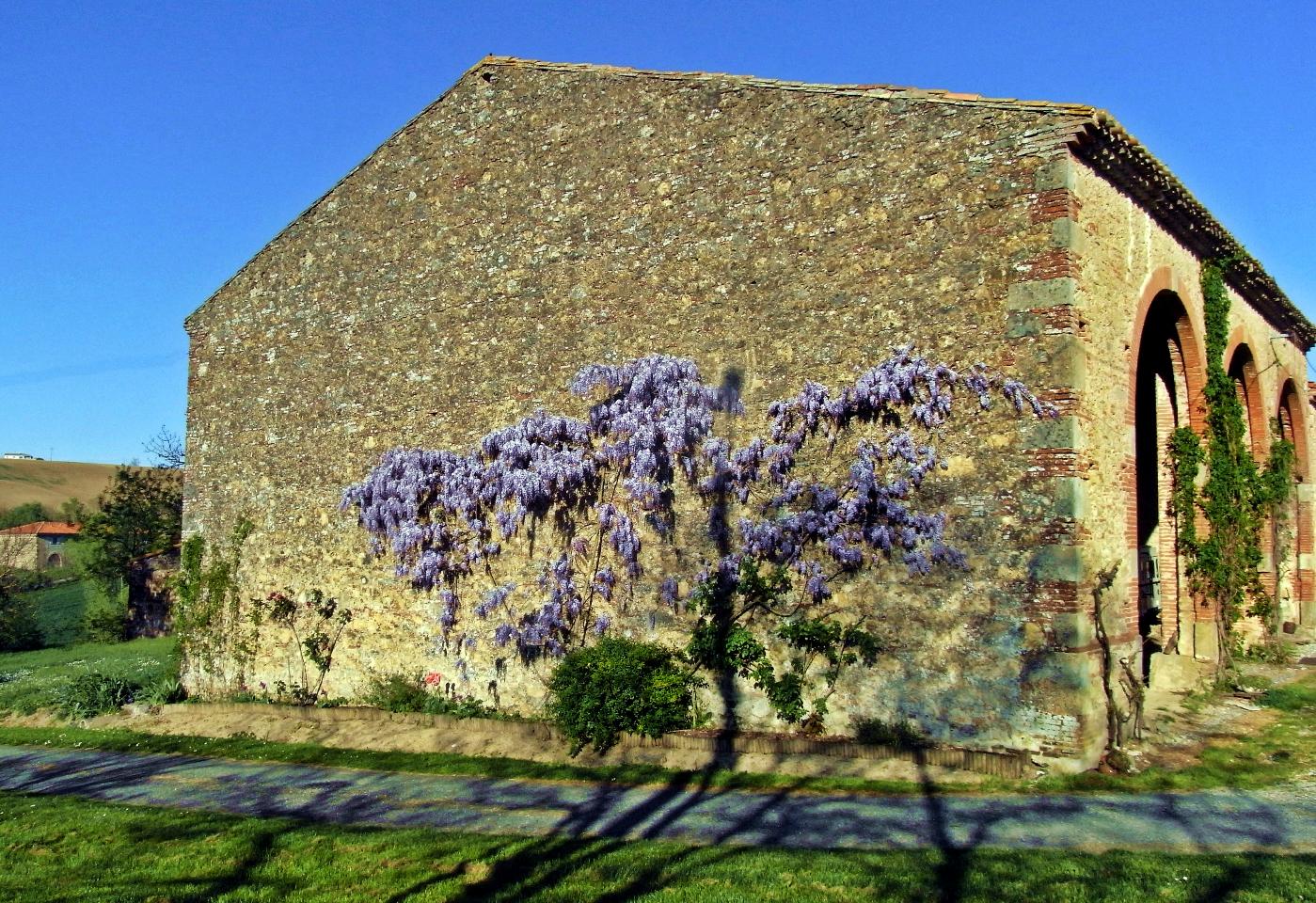 Logement GreenGo: Pastel : chambre entre Toulouse et Carcassonne - Image 9