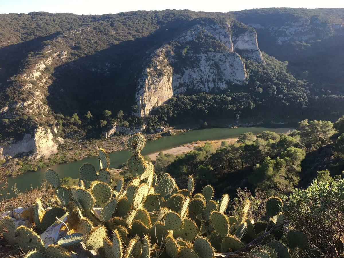 Logement GreenGo: Gardon la chambre - chez l'habitant à 10 minutes d'UZES, aux portes de la réserve naturelle du Gardo - Image 7