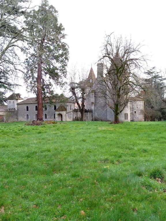 GreenGo Appartement dans un Château Renaissance