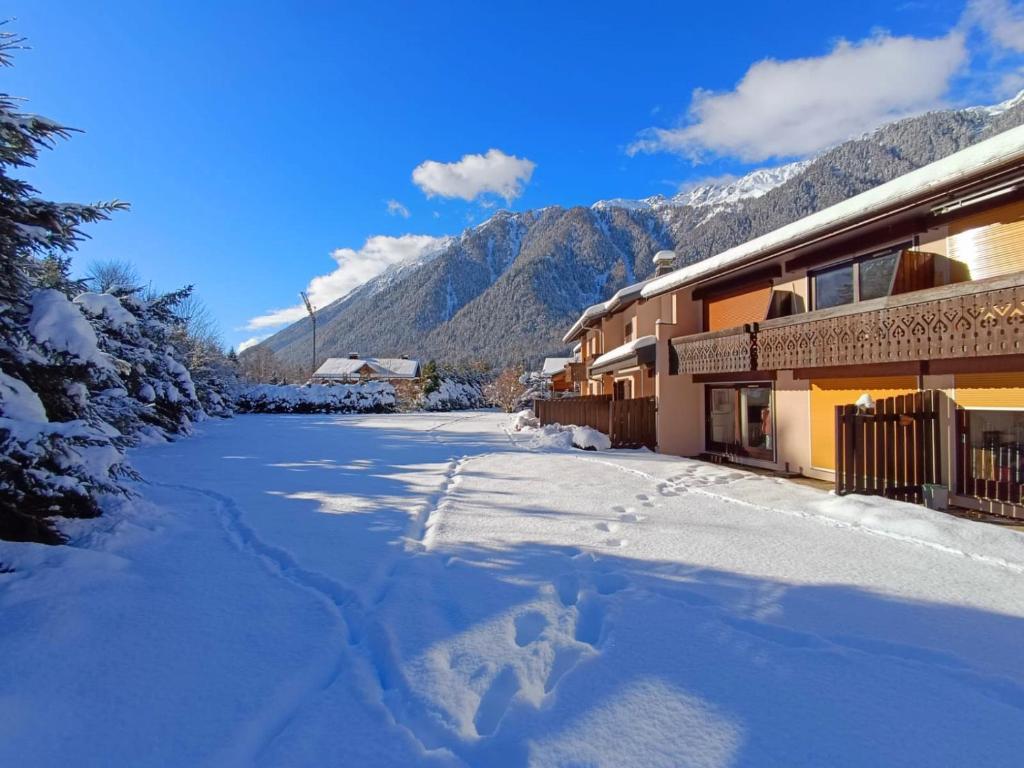 Hôte GreenGo: Appartement très agréable à Chamonix avec vue mont-blanc de 1 à 4 personnes