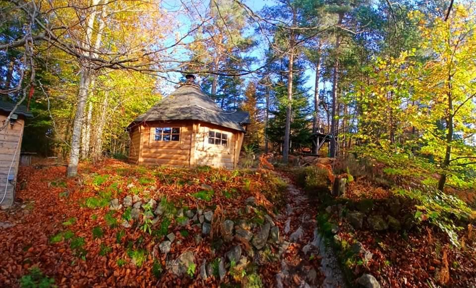 orderedImageAlt_accommodation_default