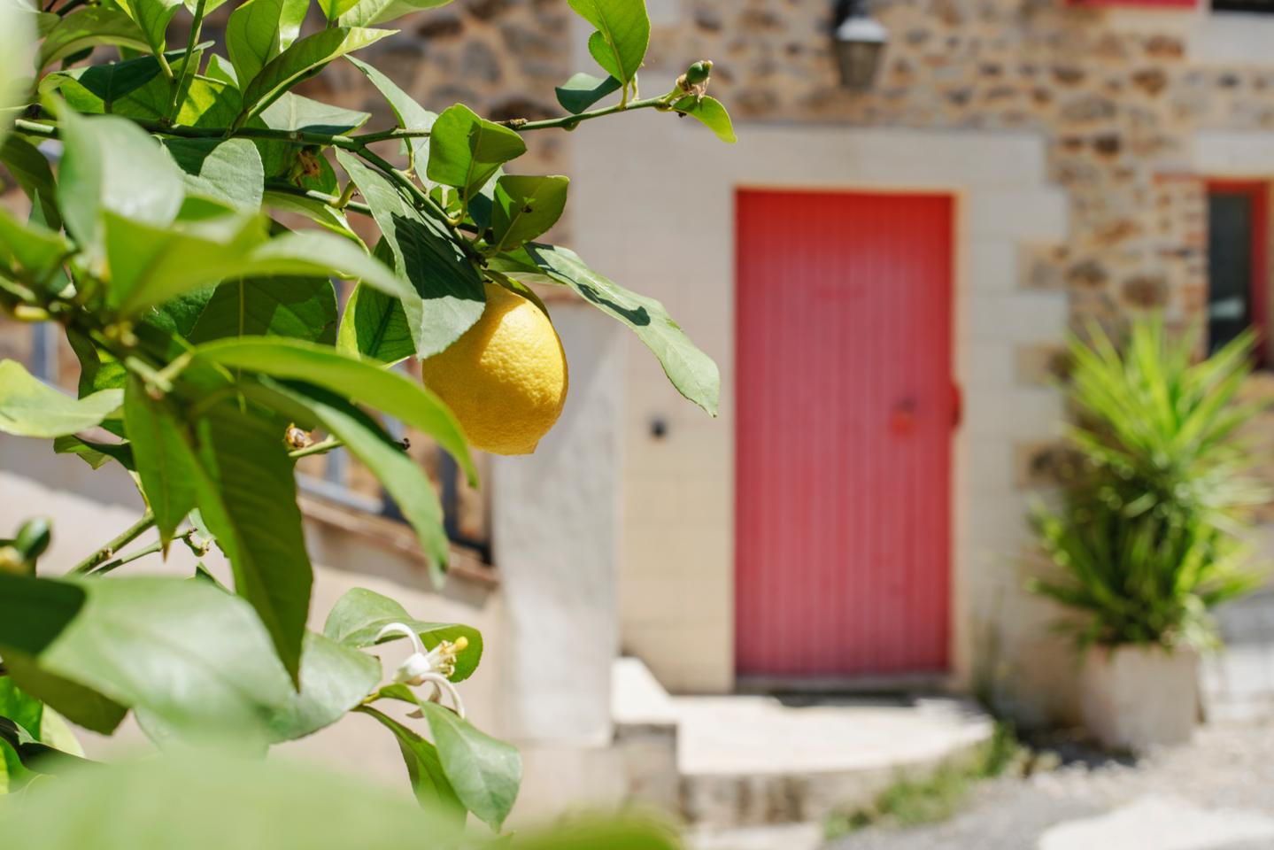 Logement GreenGo: Maison Authentique au coeur d'un joli hameau en Cévennes - Image 3