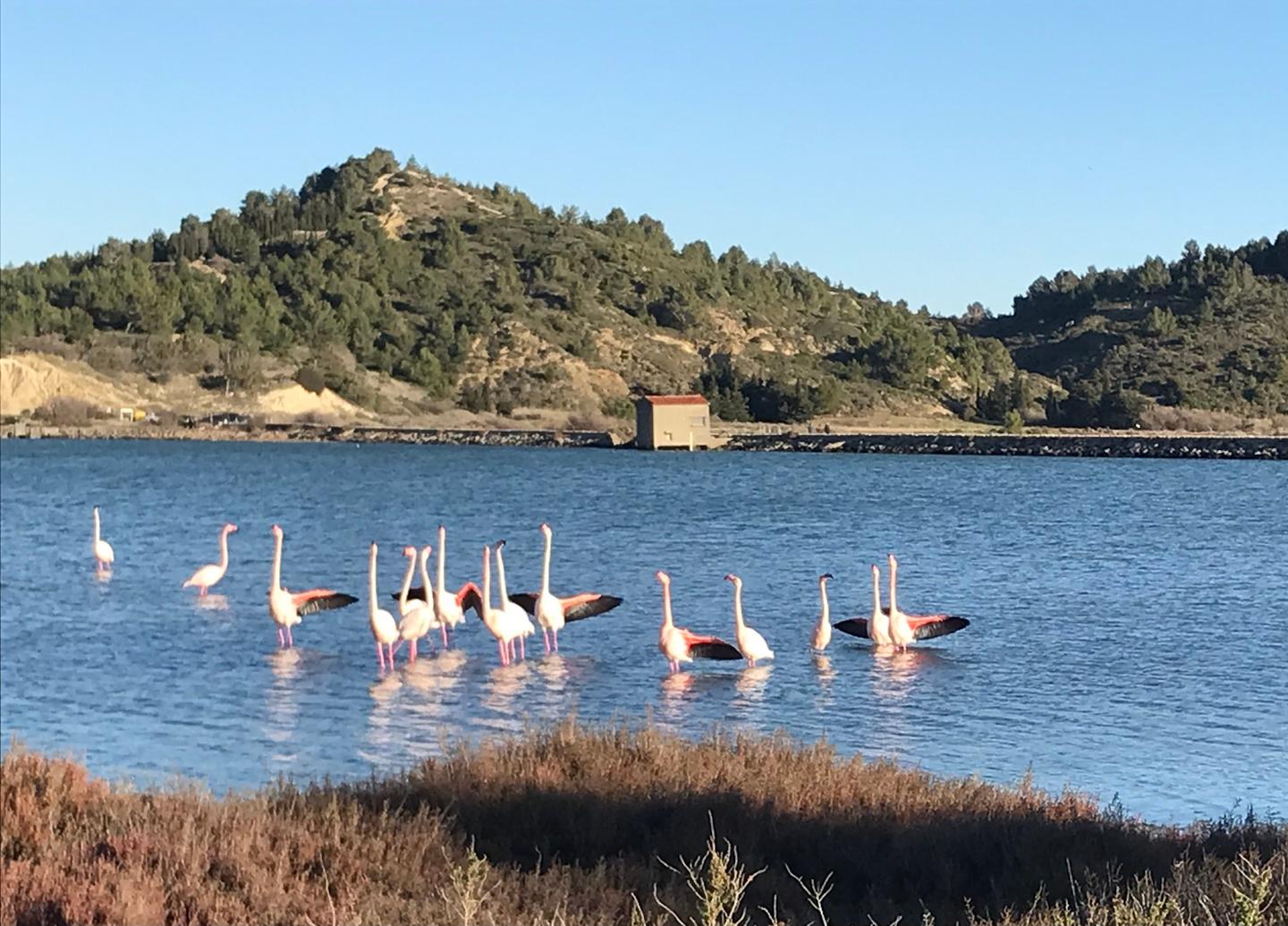 GreenGo location vacances écoresponsables