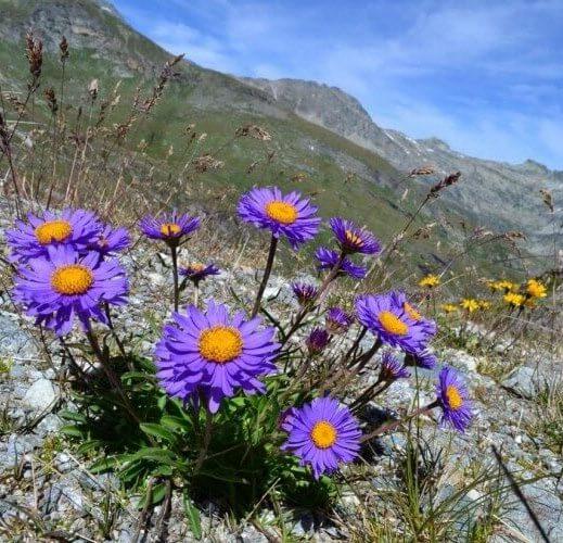  Savoie À la montagne
