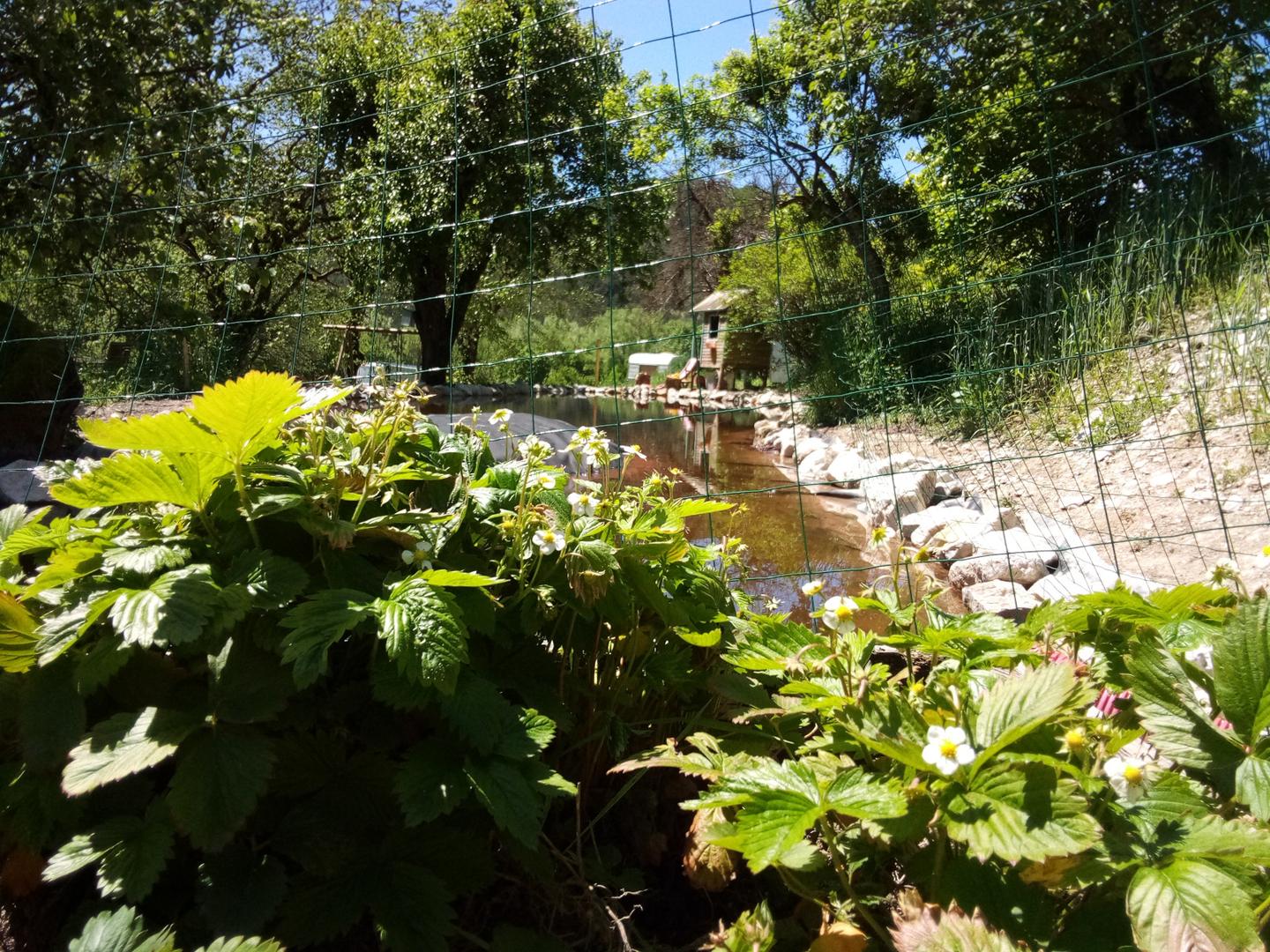 Hôte GreenGo: Ferme Des Montagnes Bleues - Chambre d'hôte avec petit déjeuner - Image 22