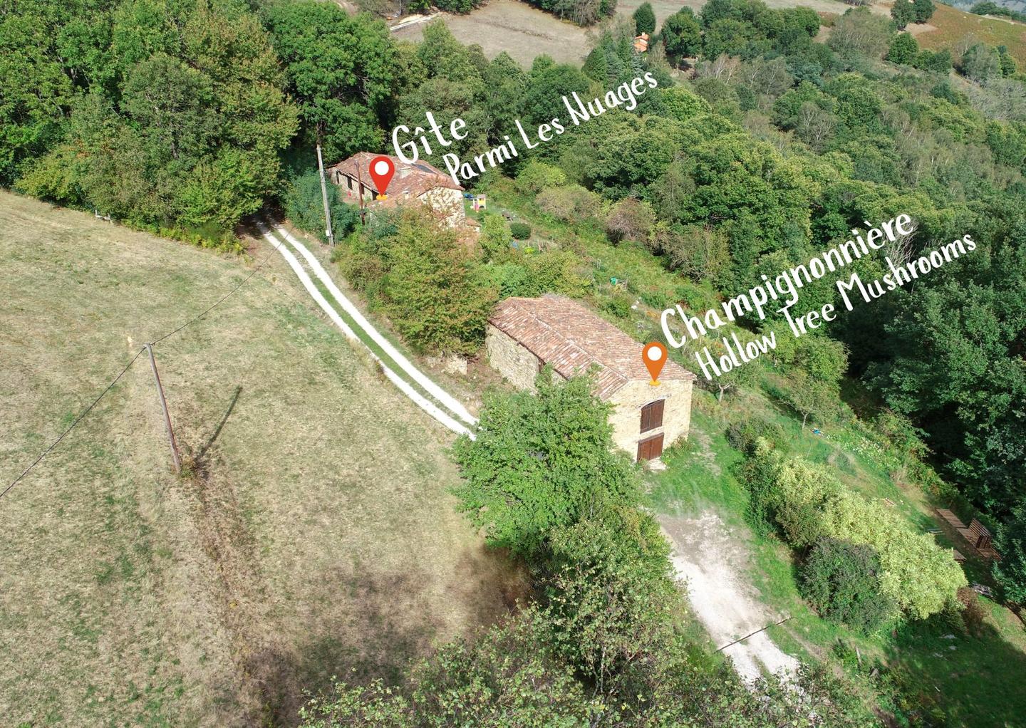 GreenGo Parmi les Nuages