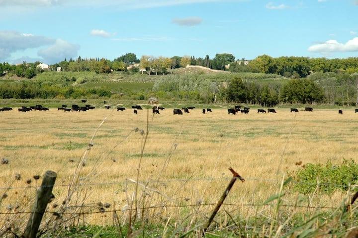 Hôte GreenGo: Gîte Le Petit Viala - Image 18