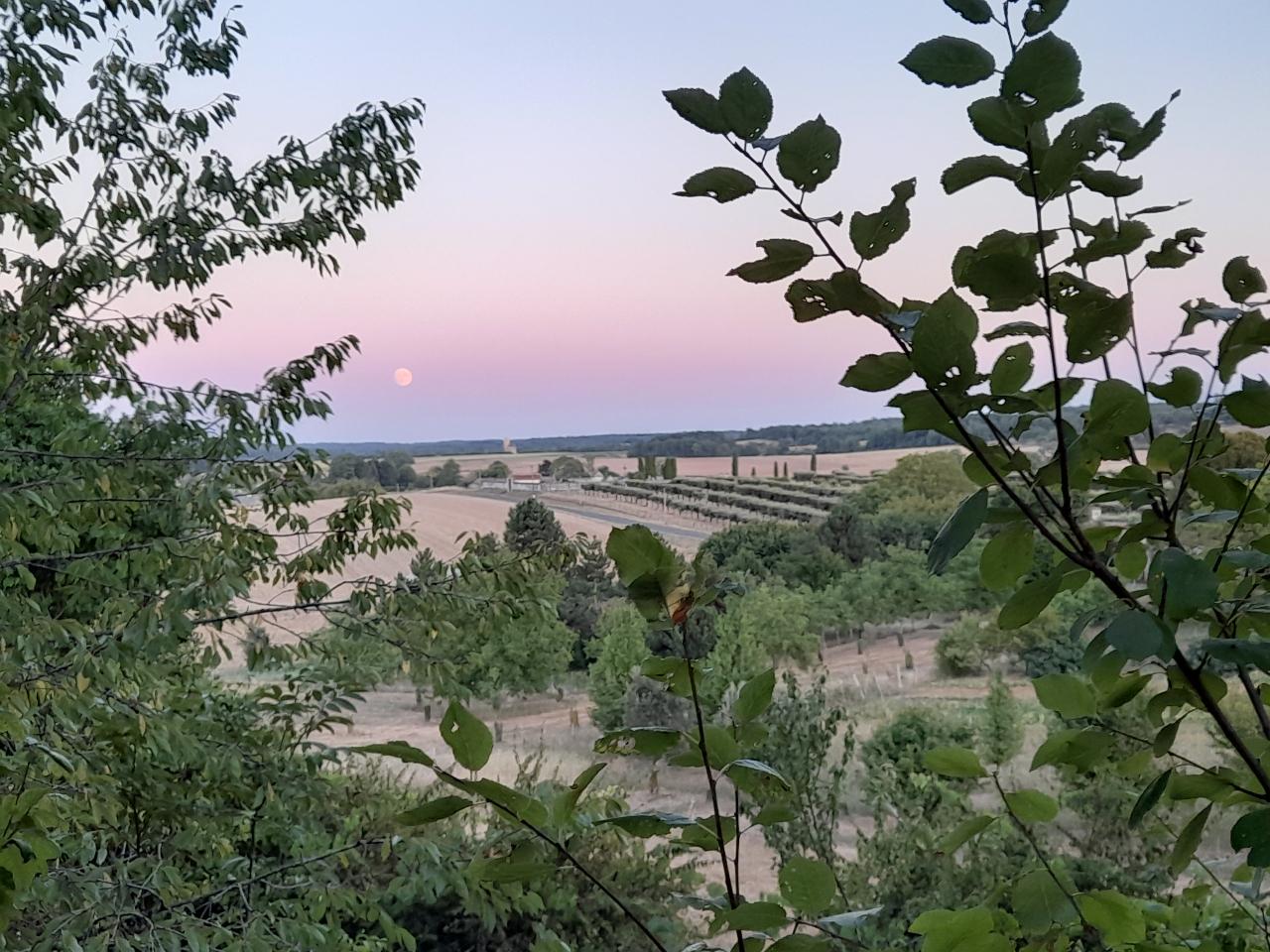 GreenGo location vacances écoresponsables