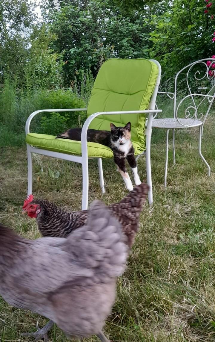 Location Dordogne Rustique