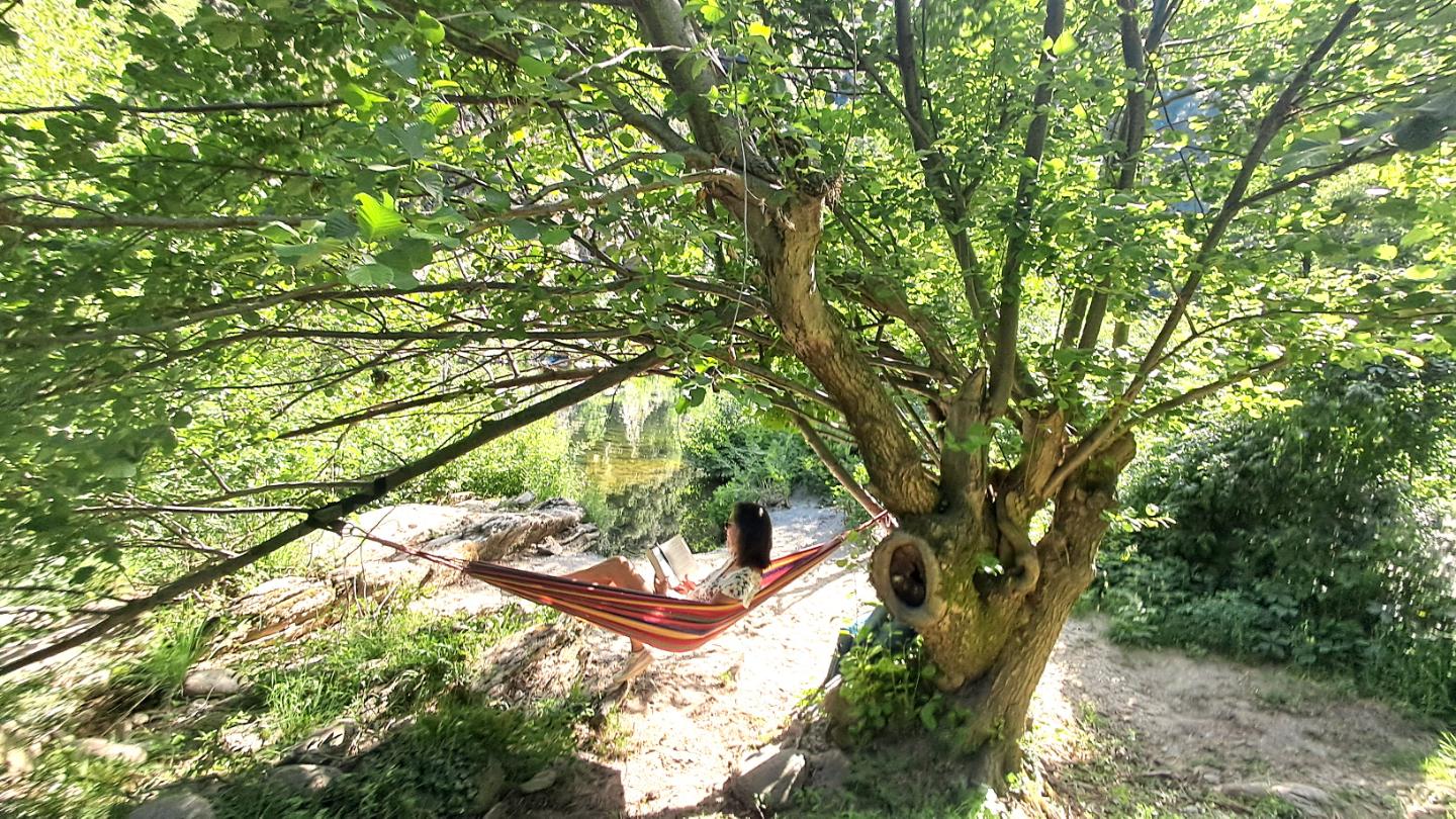 GreenGo Gîte Auvergne-Rhône-Alpes Évasion