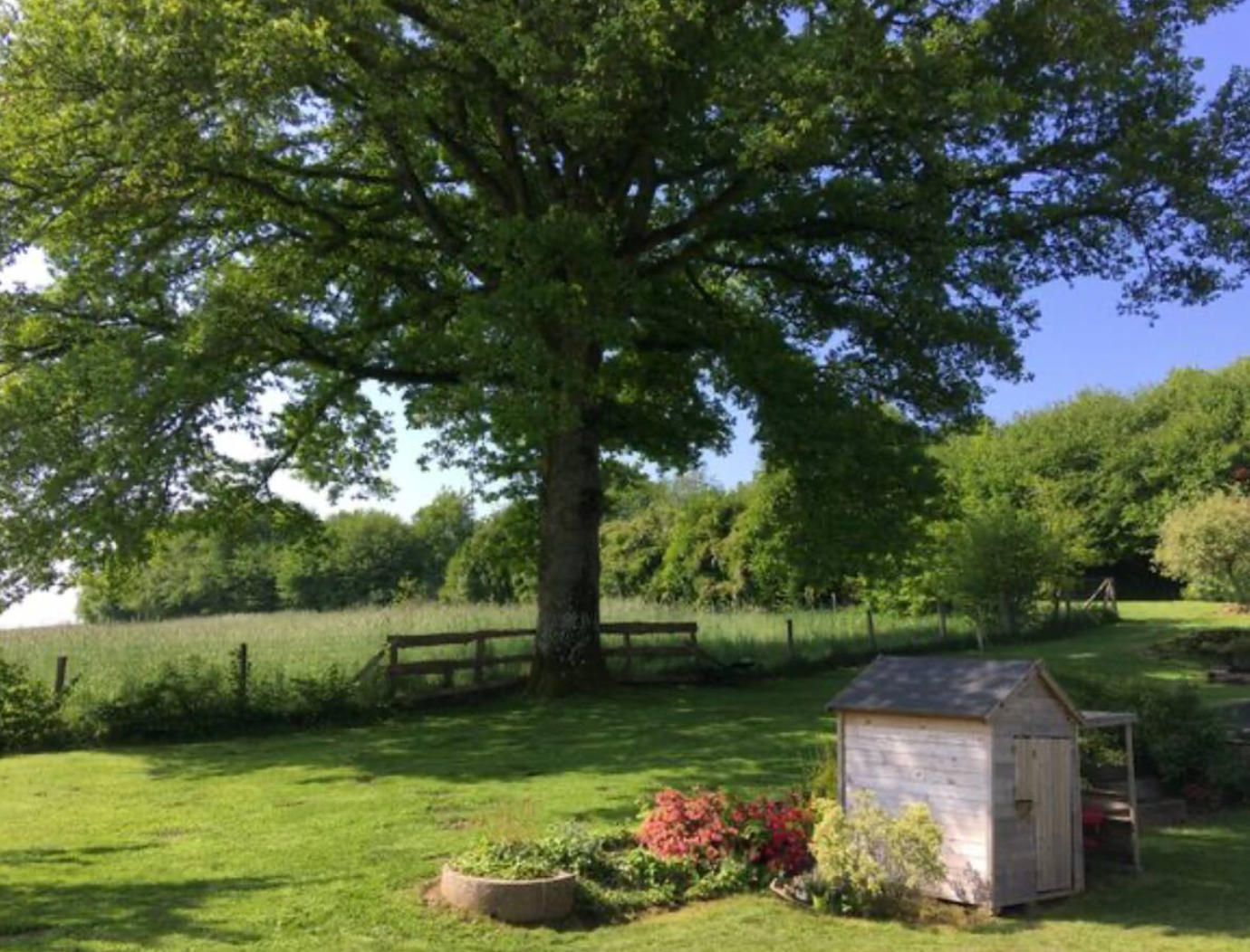 Carte cadeau GreenGo