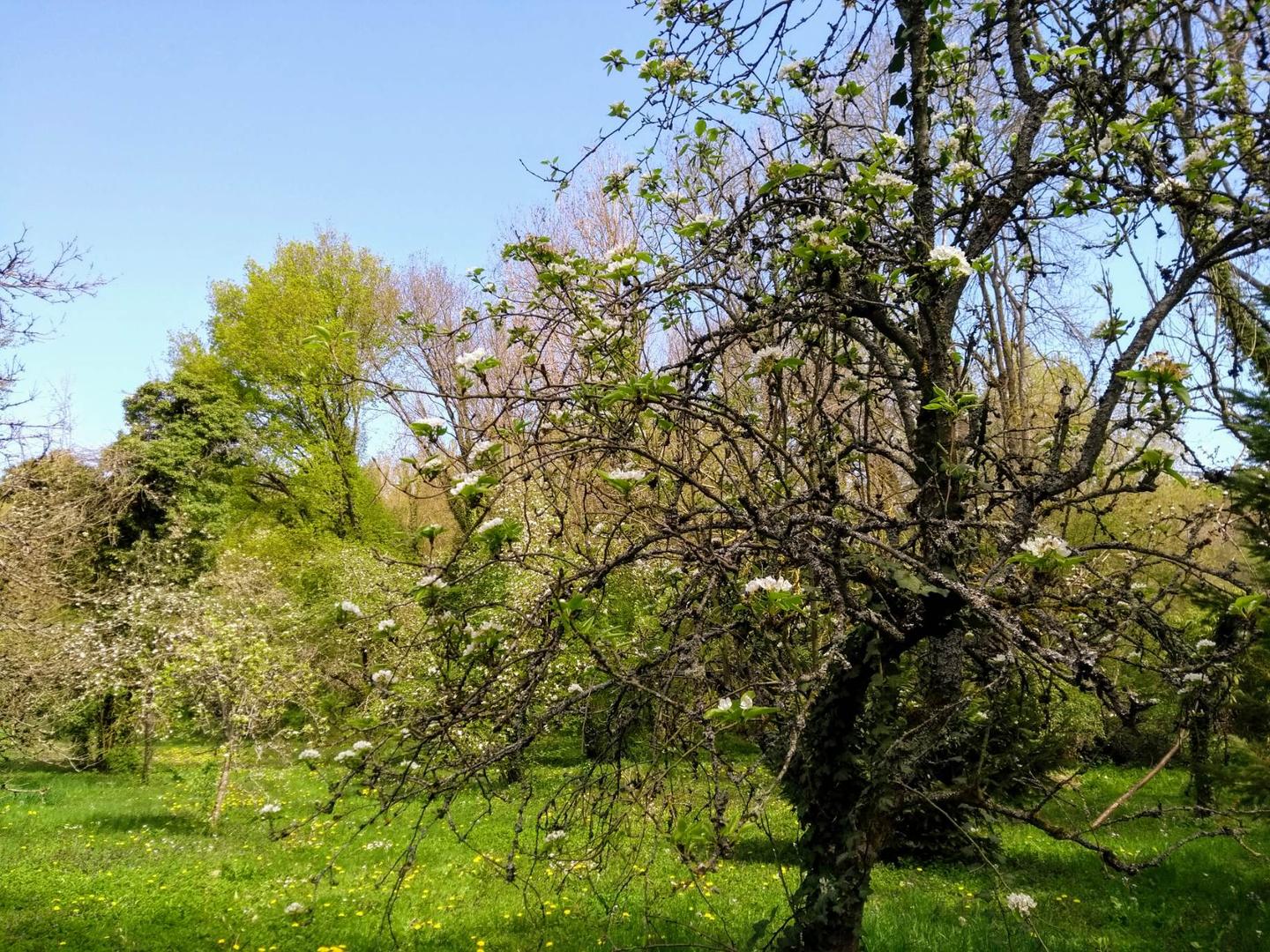 Hôte GreenGo: Le gite d'Albertine - Image 11