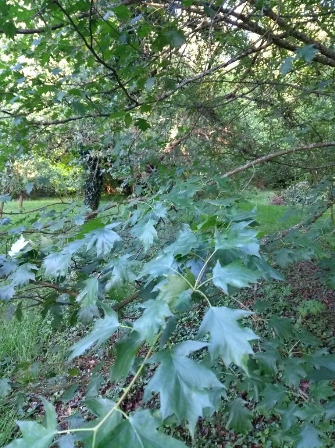 Hôte GreenGo: Le gite d'Albertine - Image 16