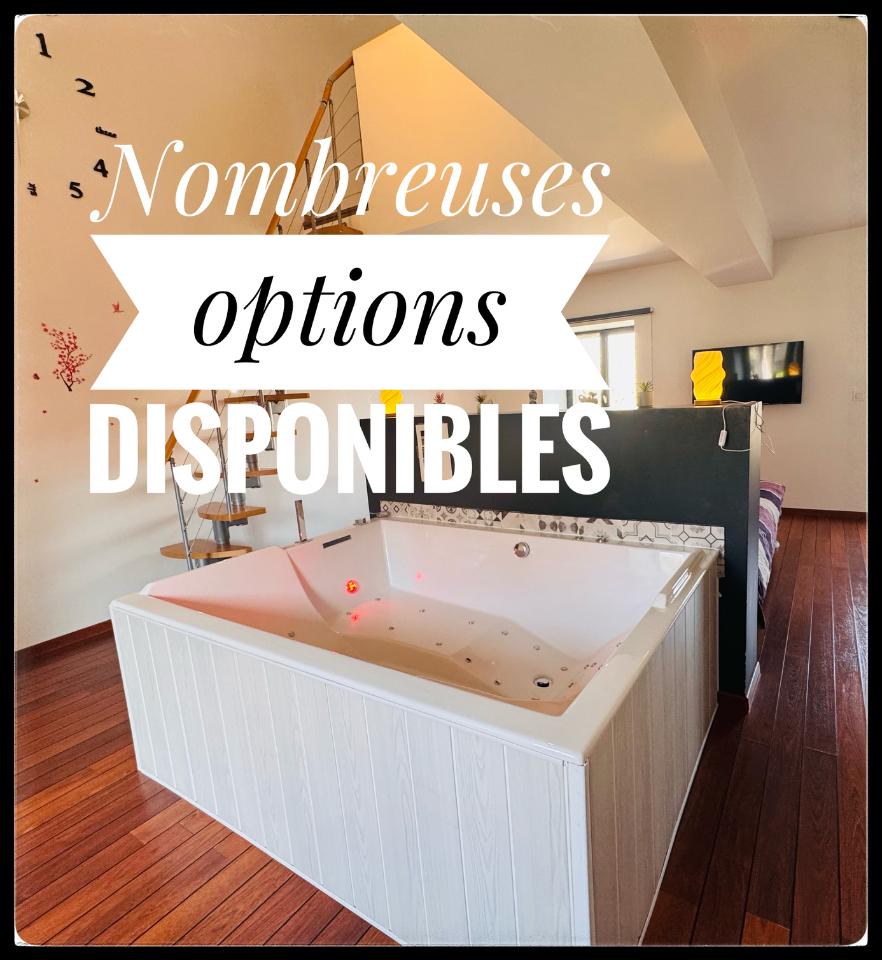 Hôte GreenGo: Ecrin de bien-être - Balnéo- Lit King Size- Terasse