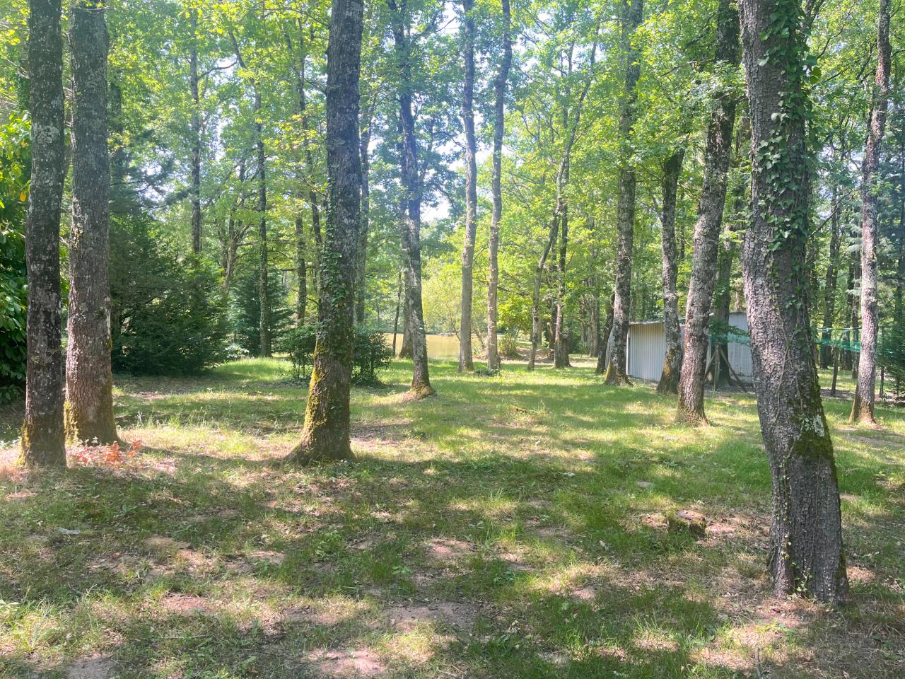 Carte cadeau GreenGo