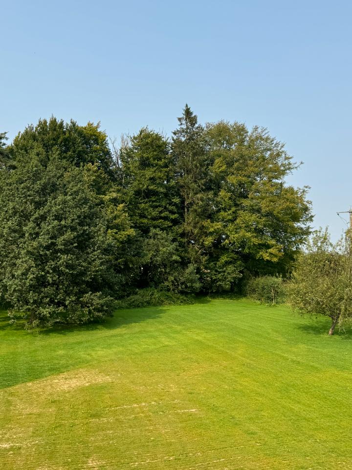 Hôte GreenGo: La Ferme de la Forêt - Image 12