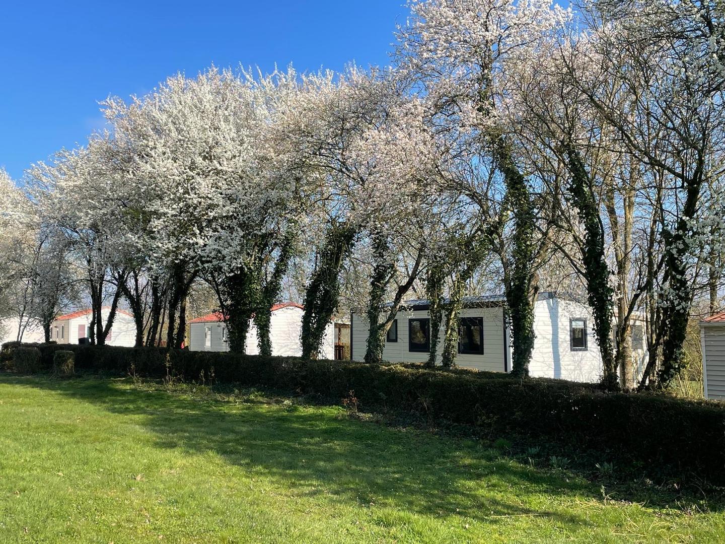 orderedImageAlt_accommodation_default