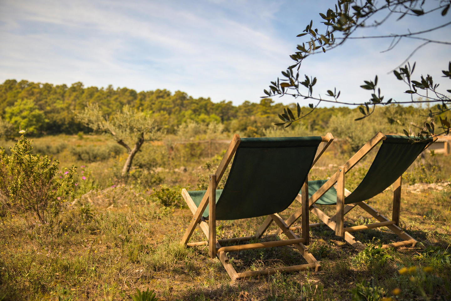 GreenGo location vacances écoresponsables