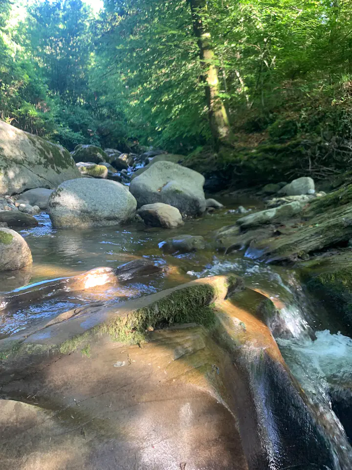 Hôte GreenGo: Yourte au cœur de la nature - Image 12