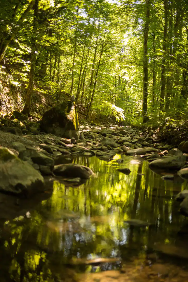 Hôte GreenGo: Yourte au cœur de la nature - Image 11