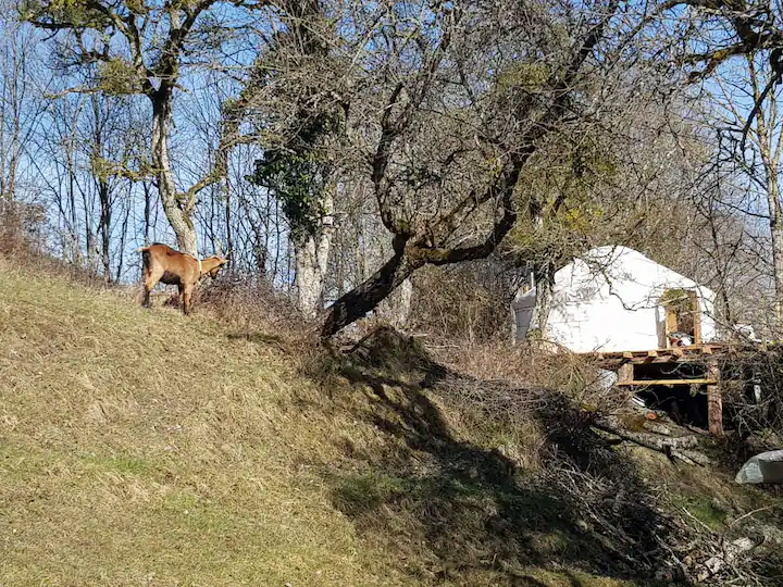 Hôte GreenGo: Yourte au cœur de la nature - Image 7