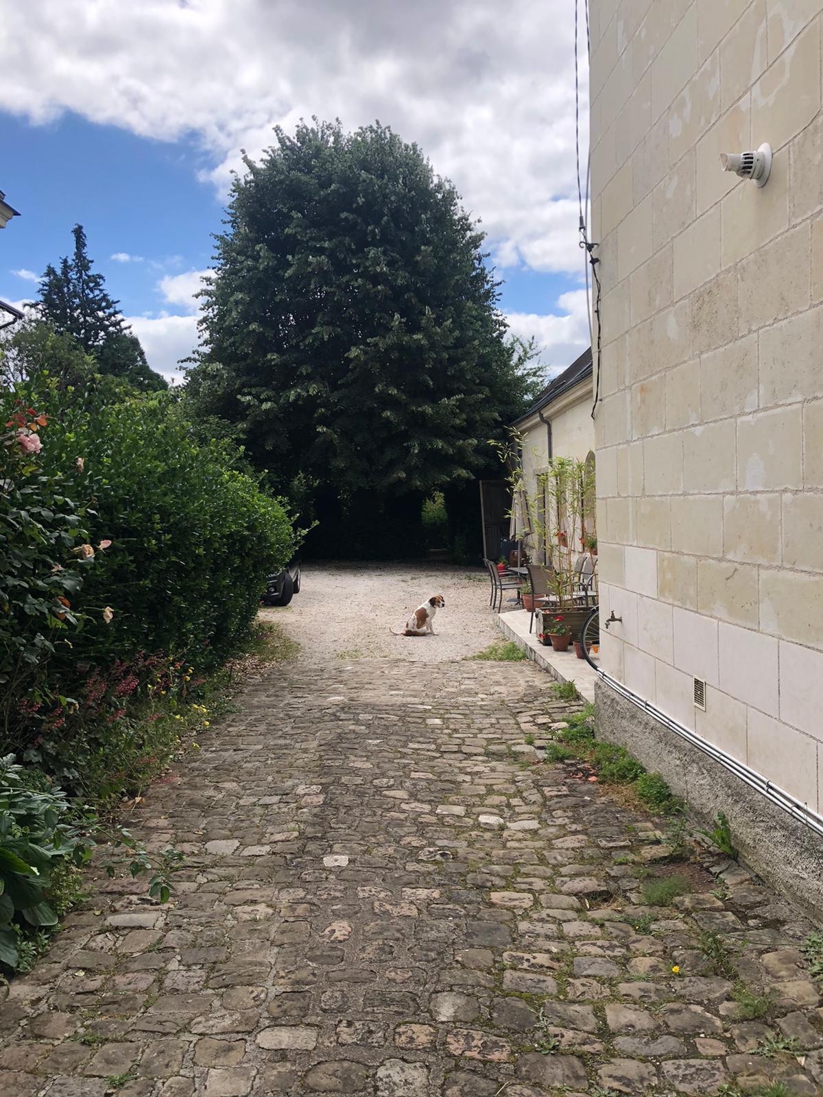 Hôte GreenGo: Gîte "Le Jardin au Tilleul" - Image 5