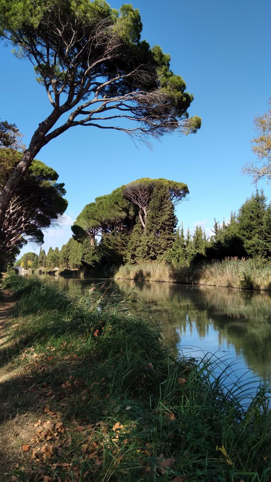 Hôte GreenGo: La Promesse de l'Aude - Image 38